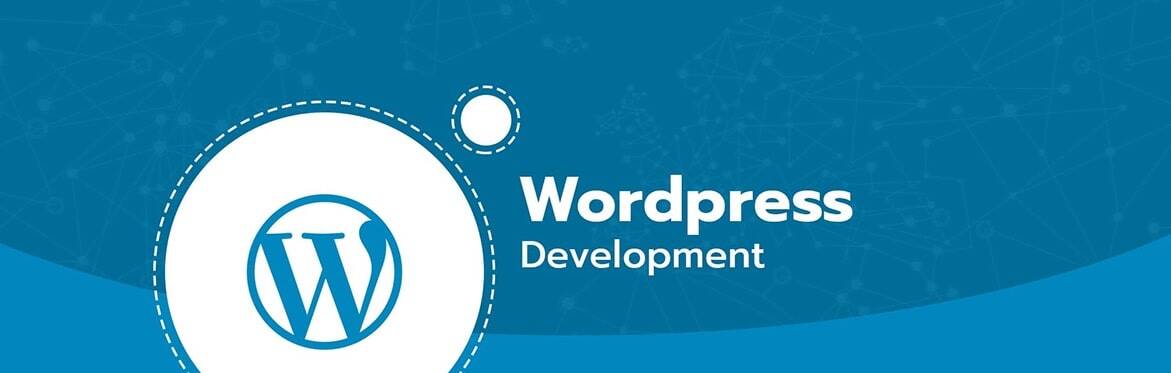 6 Logical Reasons to Make Your Website Using our WordPress Development Services